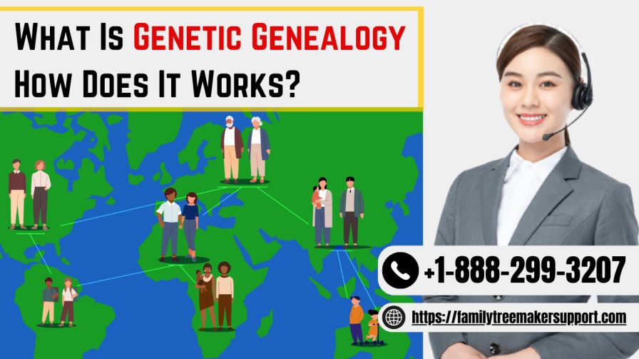 What Is Genetic Genealogy | How Does It Works?